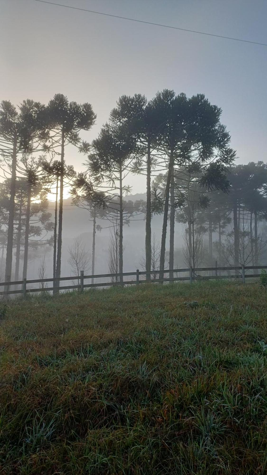 Hospedagem Cabanas Do Lago Urubici Εξωτερικό φωτογραφία